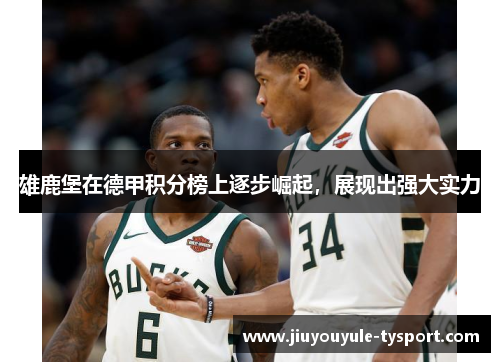 雄鹿堡在德甲积分榜上逐步崛起，展现出强大实力