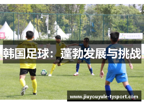 韩国足球：蓬勃发展与挑战